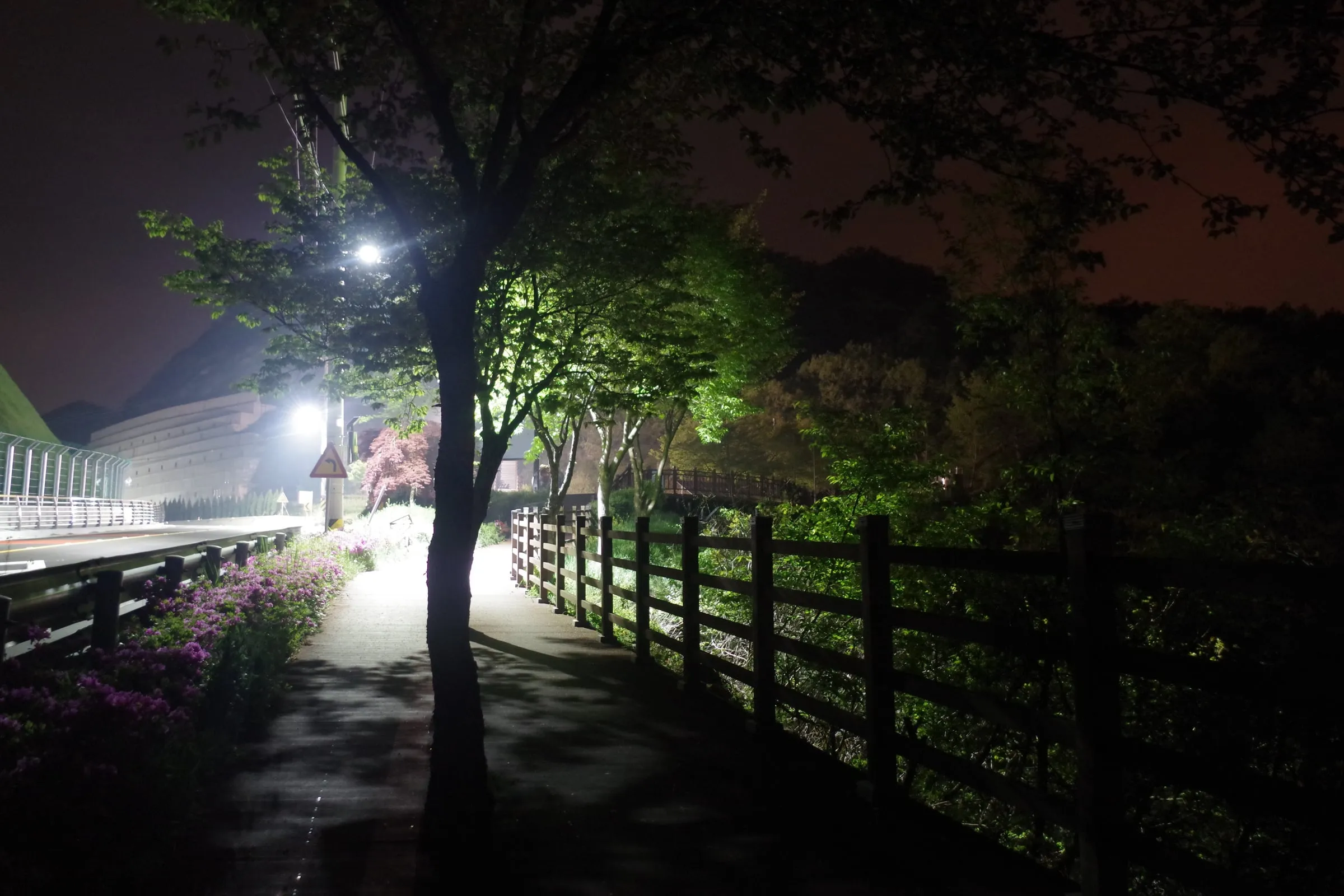 가로등이 비추는 밤 산책로